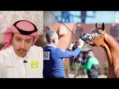 اضواء العرب