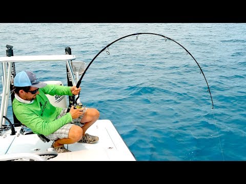 Using a Drone to Find & Catch Giant Fish