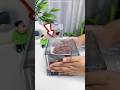 Unbelievable Cute Little Aquarium Made At Home For FISH Shortsvideo