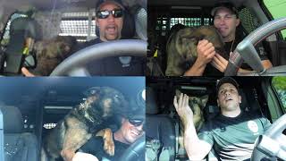 K9 Cops lip sync challenge