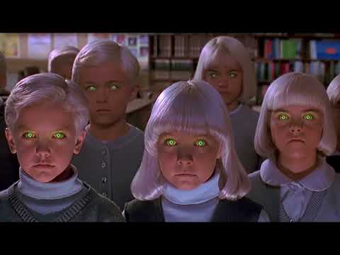 Hiob Dylan - Kamil, Domino i inni