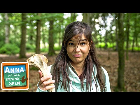Der graue Wanderer | Reportage für Kinder | Anna im Land der tausend Seen |4