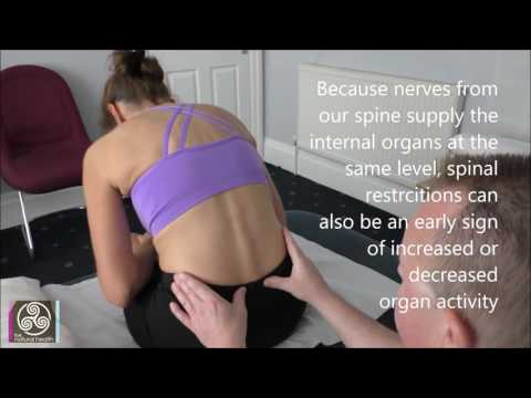 Osteopathic Examination at York Natural Health