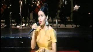 كلمات اغنية المصري لطيفة