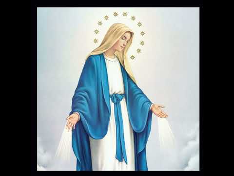 Katecheza I: Nota doktrynalna: ,,Mater populi fidelis" - omówienie cz. I. 