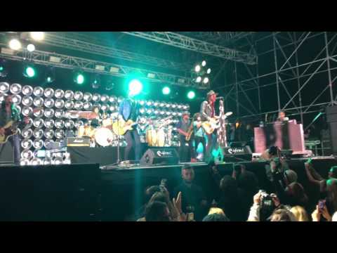 Leiva - Animales Montgorock 2017