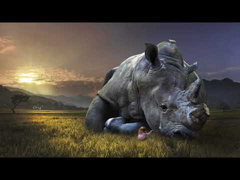 CH16 1.2. Béla Jakab - Péter Viczencz 1:0