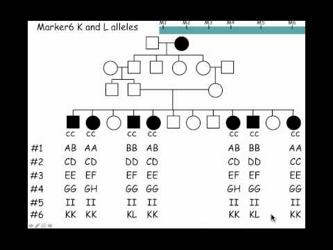 23. Positional cloning.mp4