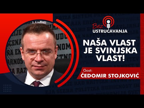 BEZ USTRUČAVANJA - Čedomir Stojković: Naša vlast je svinjska vlast!