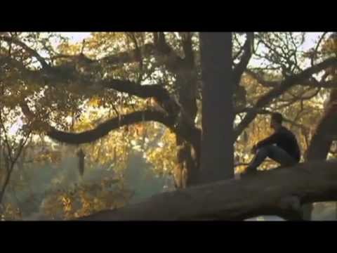 John Waller While I'm Waiting(Mientras Espero)español Oficial