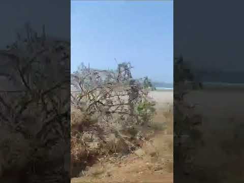 Coastal road towards Anjarle, beach, Konkan
