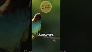 Você Tem um Lugar na Presença de Deus