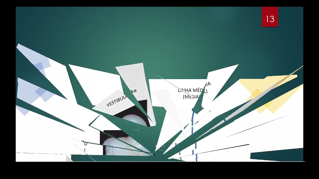 Anatomia Interna - Aula-01 Prof. Anderson Paulo