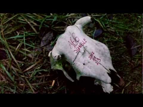 Diversus - Welcome to the jungle ep3.mp4