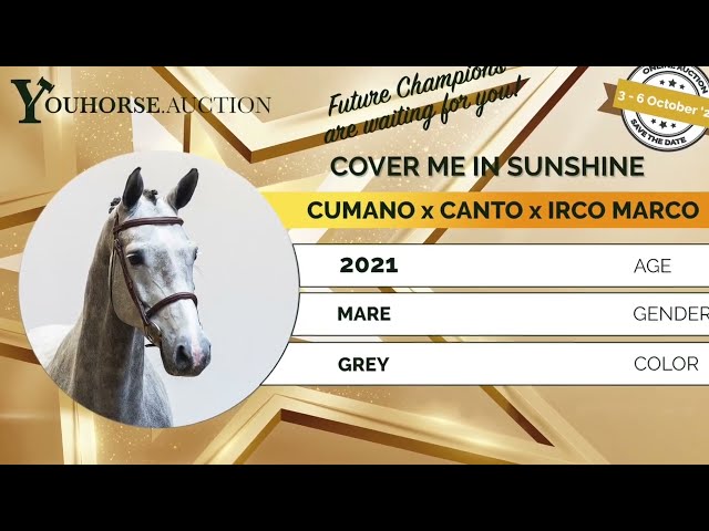 Cover me in Sunshine showvideo
