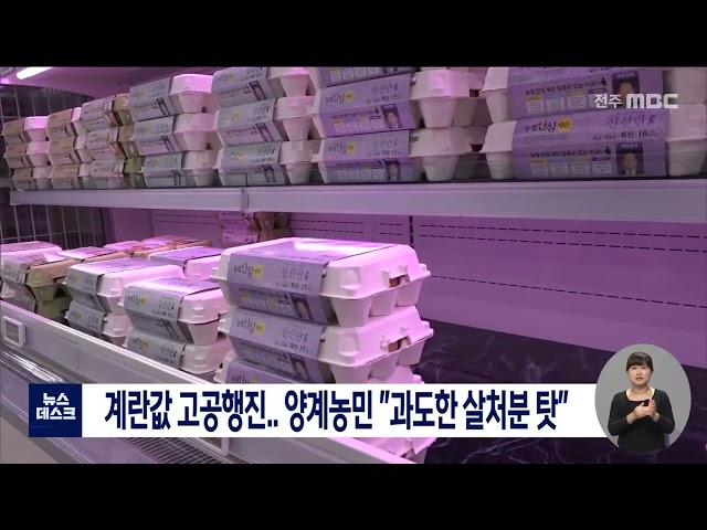 계란값 고공행진..과도한 살처분 탓?