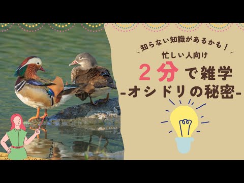 IUCN分類における絶滅の危険性を示す図。