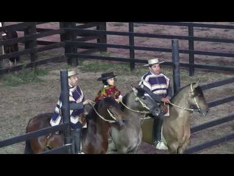 T. 25/26 | Rodeo Para Criadores | Aparta de Ganado | 22 y 23 de noviembre