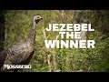 Real Turkey Hen Calling UP CLOSE Real Turkey Sounds