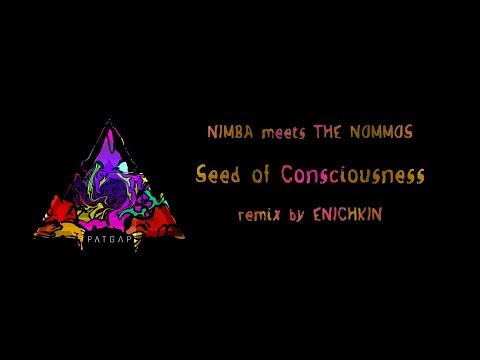 Nimba meets The Nommos - Seed of Consciousness (remix by Enichkin)  free download