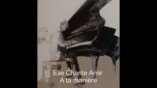 A ta manière (Amir)
