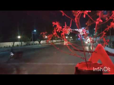 Pir Jahania sea beach Study tour  2024// Department of English// Utkal University