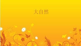 自然篇 1/5 - 大自然