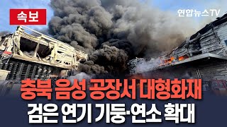 유튜브 썸네일