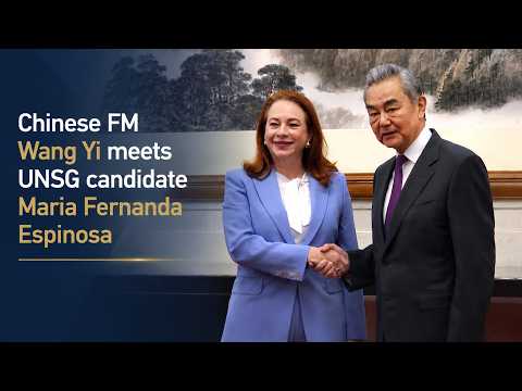 China & the UN: Wang Yi meets secretary-general candidate Espinosa