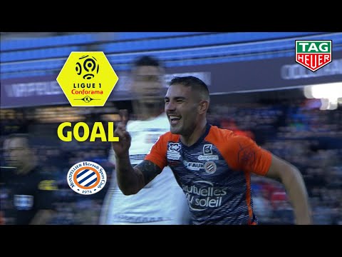 Goal Andy DELORT (49') / Montpellier Hérault SC - Stade Rennais FC (2-2) (MHSC-SRFC) / 2018-19