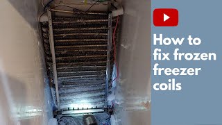 DIY: How to Fix Frozen Freezer Coils 2021