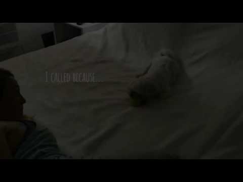 Life Coaching with Tofu the Dog