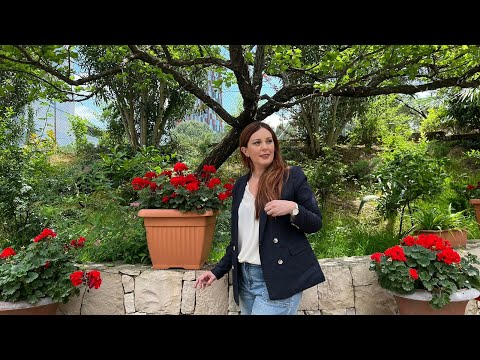 Vitrina e librit/ Ordesa- Manuel Vilas