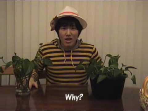 All the King's Men Trailer