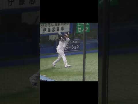 ネクストバッターズサークルで待つ長岡秀樹〜2024年8月27日 ヤクルトスワローズ対 読売ジャイアンツ