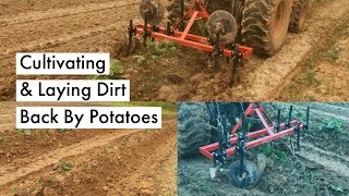 Cultivating and Laying Dirt Back By Our Potatoes!