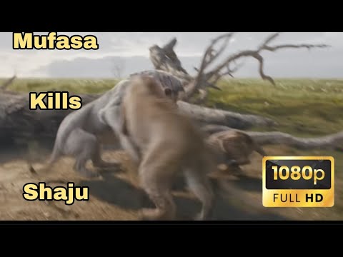 Mufasa The Lion King: Mufasa Kills Shaju HD Clip!