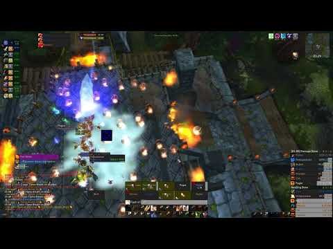 Zul'Aman - Classic TBC - Holy Paladin POV