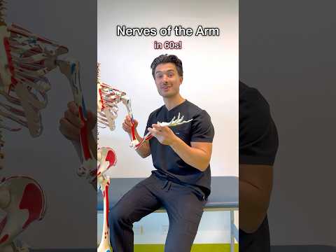 Nerves of the Arm in 60s from my MSK guide 📙#medstudent #medschool #usmle #usmlestep1 #anatomy