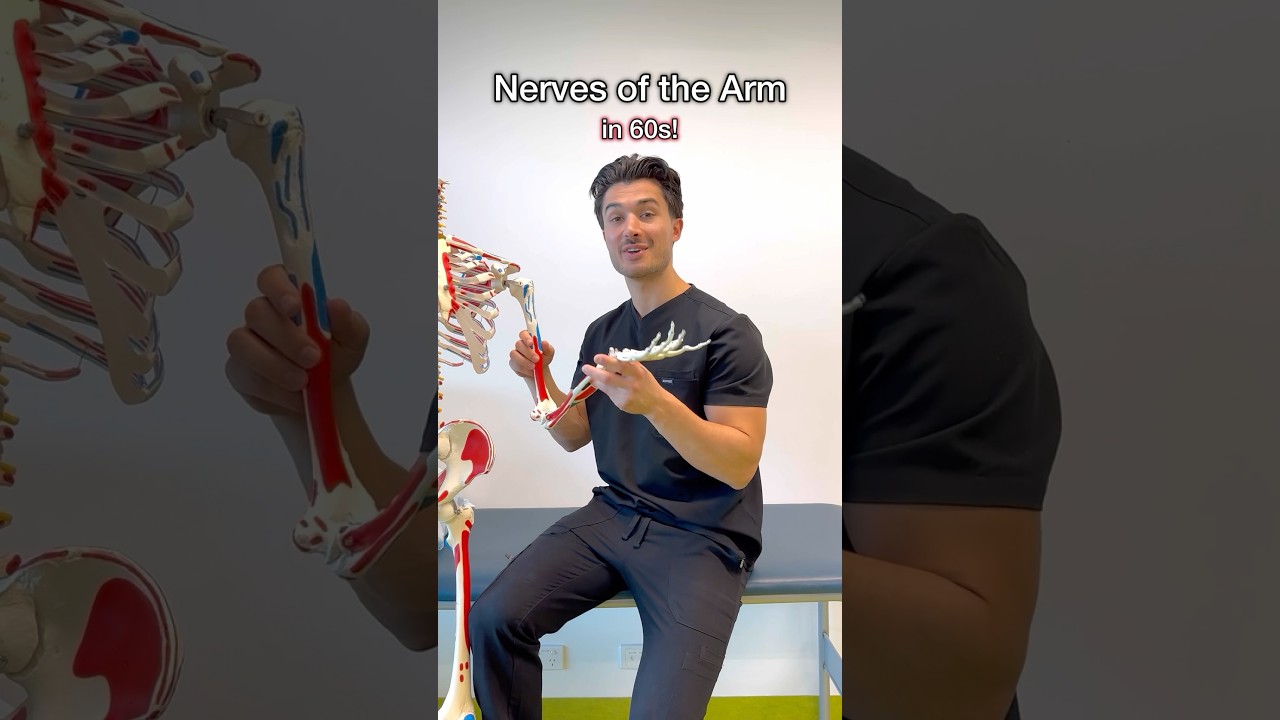 Nerves of the Arm in 60s from my MSK guide 📙#medstudent #medschool #usmle #usmlestep1 #anatomy