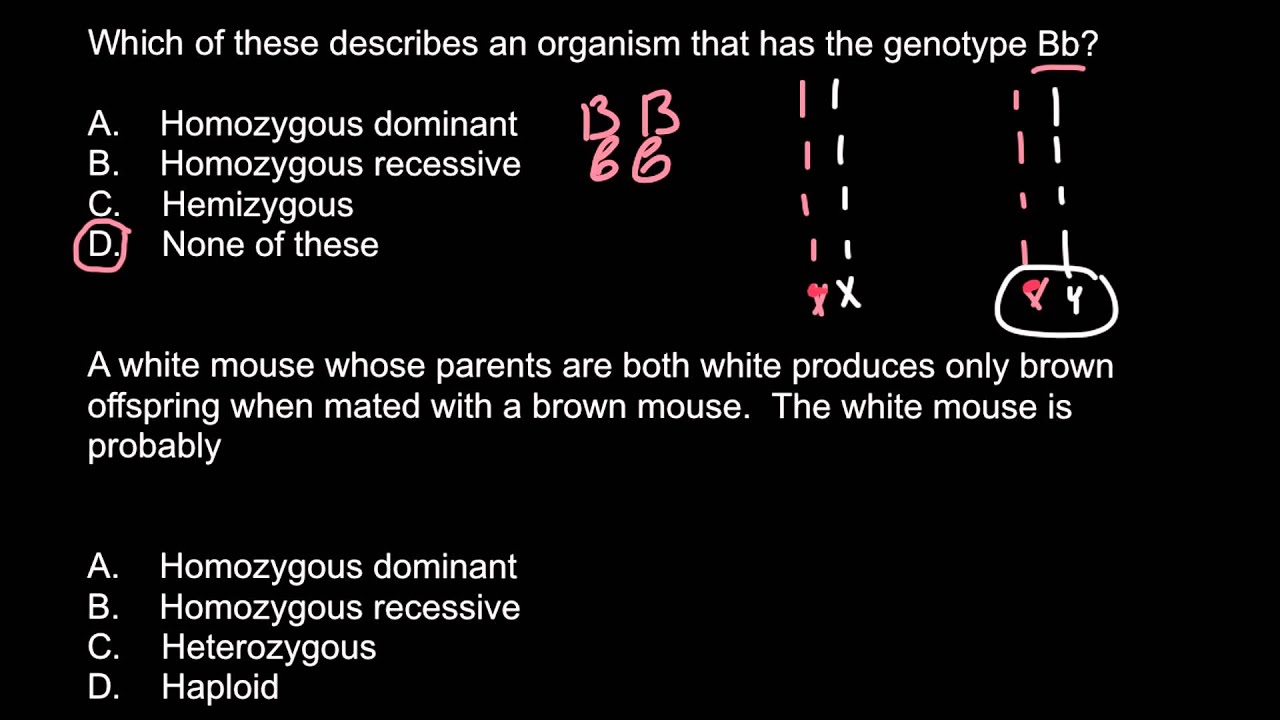 Homozygous, heterozygous, hemizygous, haploid