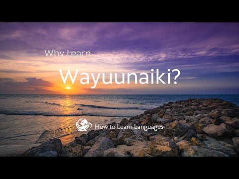The Wayuunaiki Language