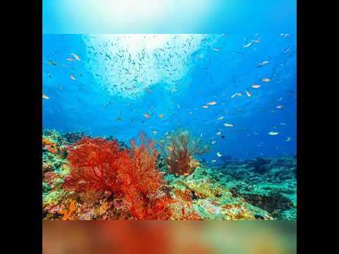 Brisa Do Mar - Lisa Ono