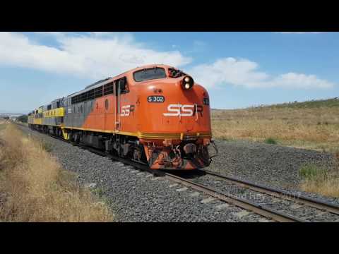 Diesel Locomotives S302, GM27, GM10 & S317 - Willow Tree to Werris Creek - February 2017