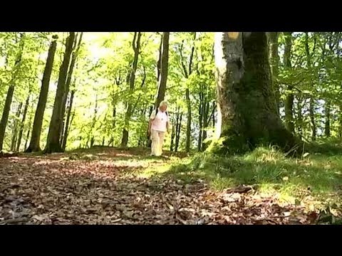 Goda råd om svampar