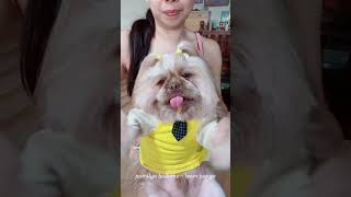 Download lagu Yebyeb🐶 mp3