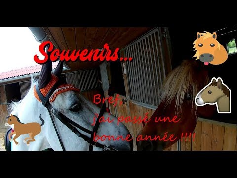 2017 - Quelques souvenirs ... d'équitation (bien sûr)