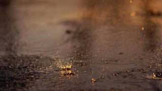 The Honorary Title - Only One Week