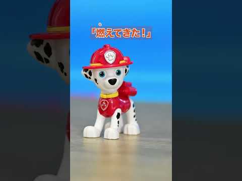 【パウ・パトロール】マーシャル出動！パウっと解決！｜タカラトミー公式