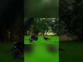 Turkeys ATTACK the Decoys While Young Hunter Tries to Get on Target!